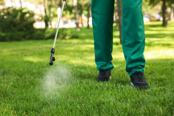 Best Affordable Pest Control Services  in Marcus Hook, PA