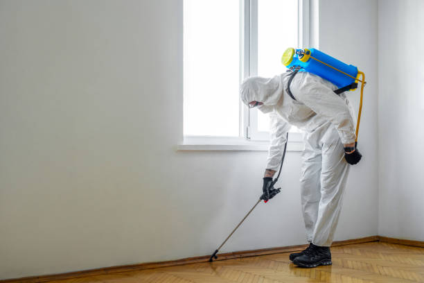 Best Bed Bug Extermination  in Marcus Hook, PA