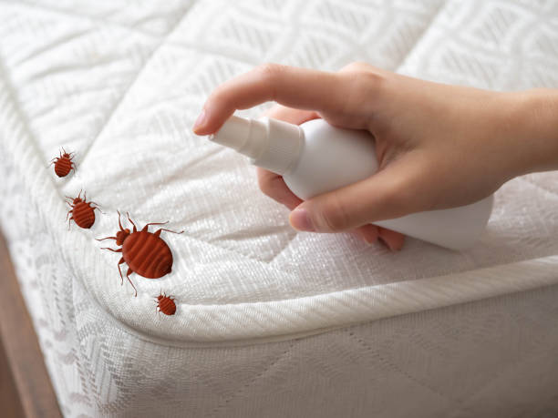 Best Mosquito Control Services  in Marcus Hook, PA