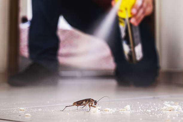 Best Spider Control Near Me  in Marcus Hook, PA