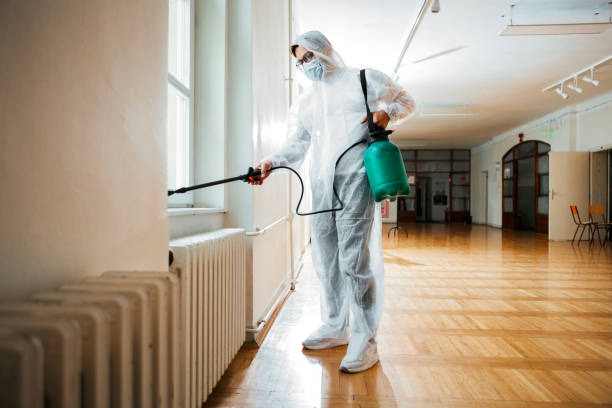 Best Wasp Removal Services  in Marcus Hook, PA