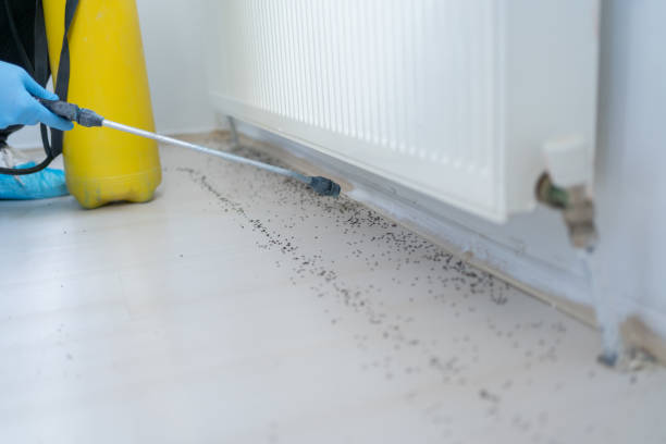 Best Termite Control Services  in Marcus Hook, PA
