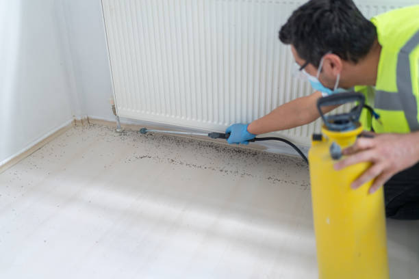 Best Affordable Pest Control Services  in Marcus Hook, PA