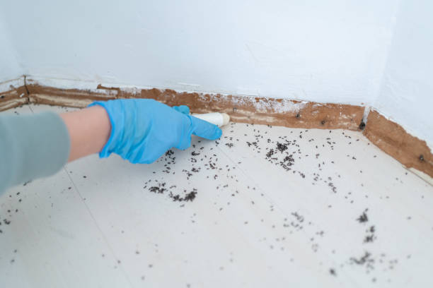 Marcus Hook, PA Pest Control Company